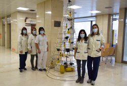 Part de l'equip que ha muntat l'arbre del vestíbul de l'HUV