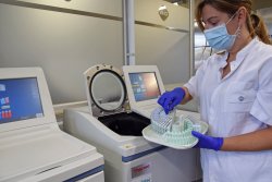El processador automàtic de teixits és l'equip clau que s'empra per a la deshidratació i infiltració de parafina de les mostres biològiques